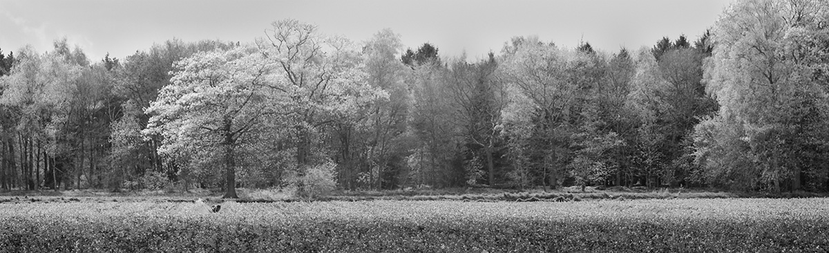 A051_C012_0101FK BW